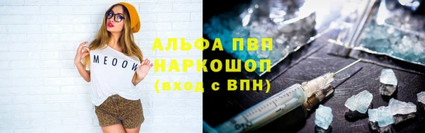 МДПВ Бородино