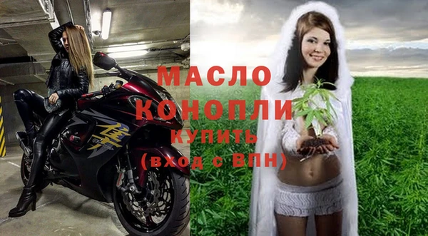 МДПВ Бородино
