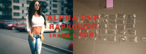 МДПВ Бородино