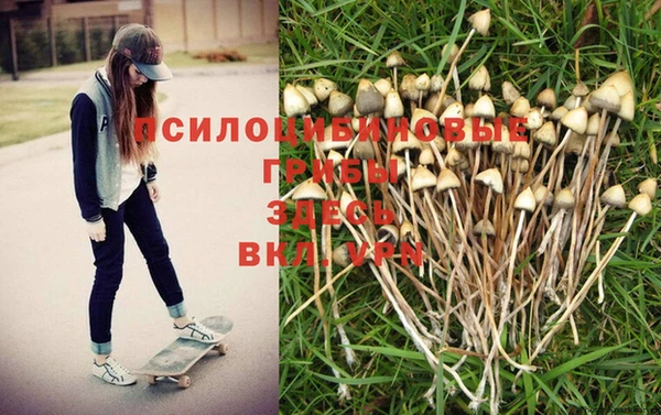 соль курить ск Богданович