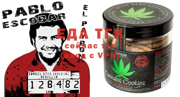 МДПВ Бородино