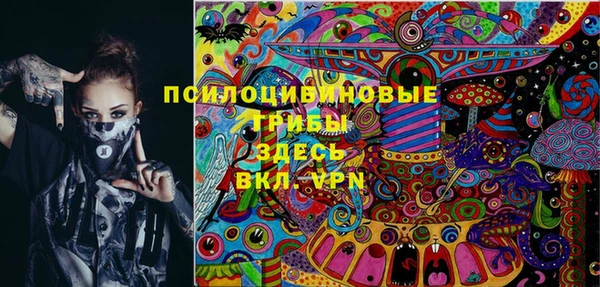 соль курить ск Богданович