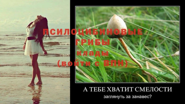 индика Горнозаводск