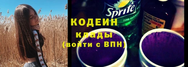 МДПВ Бородино